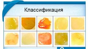 Вонючая мокрота. Запах мокроты. Описание и причины появления мокроты