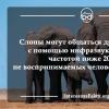 Значение и основные функции хобота слона