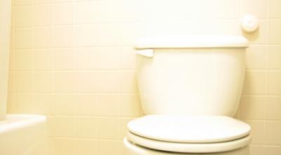 Kuidas tualetti puhastada, sanitaarseadmete laitmatu puhtus